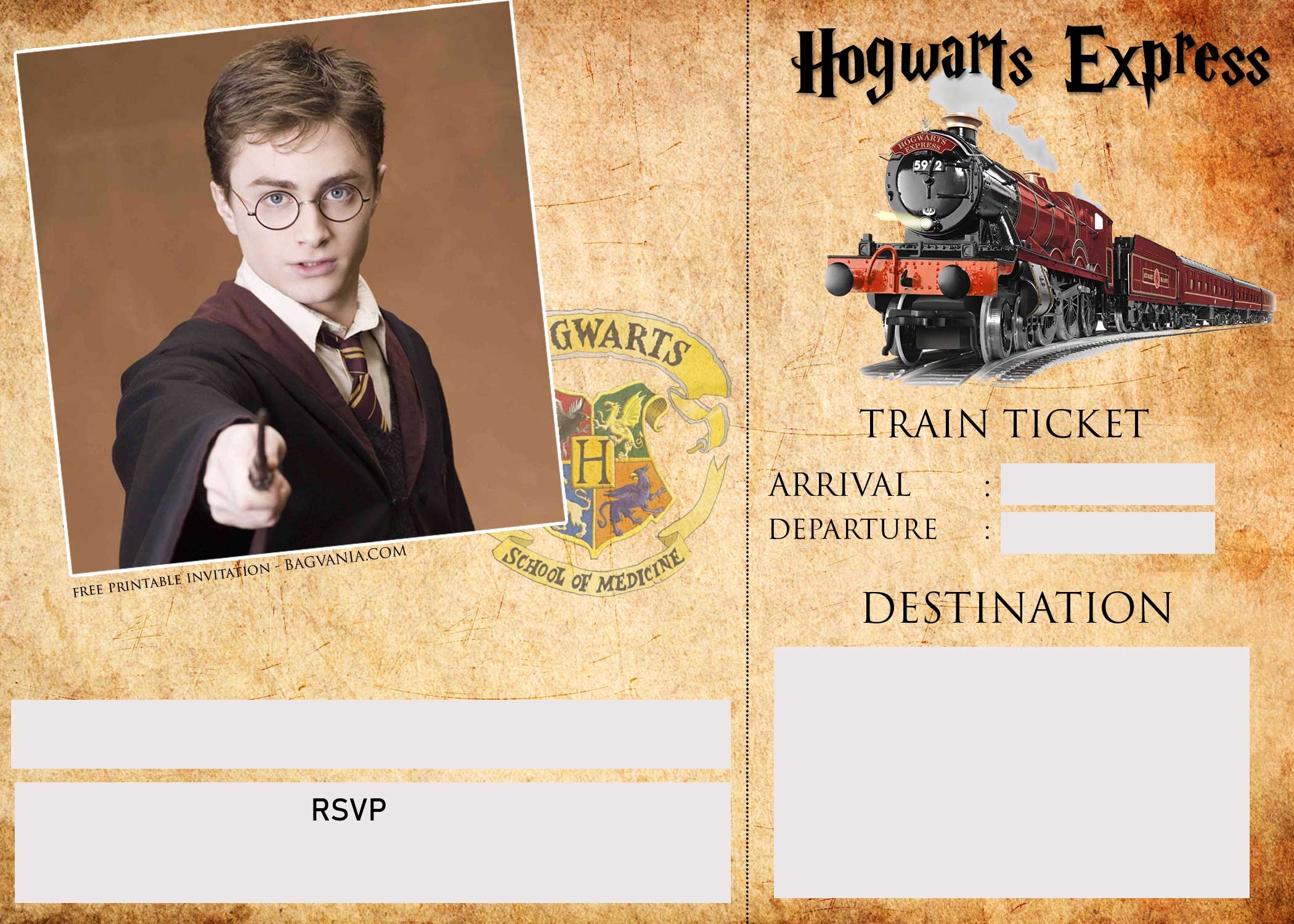 Harry Potter Ticket Invitation Template FREE Printable Birthday 